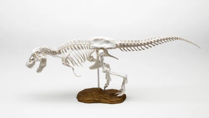 3D szkenn T-rex csontváz FDM 3D nyomtatás